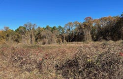 00 Sturgis Road, Pine Bluff, AR 71601