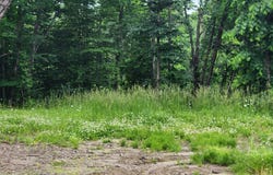 004 Titcomb Hill Road, Farmington, ME 04938
