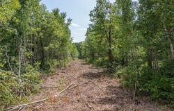 Tract D Polaris, Mission Twp, MN 56465