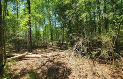 0 S State Highway 27, Geneva, AL 36340