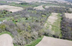 TBD Miche, PEARL CITY, IL 61062