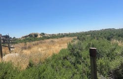 Jackson, Lemoore, CA 93245