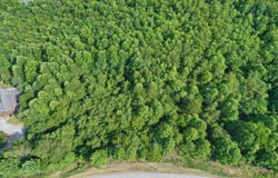 Lot 713 Whistle Valley Road, New Tazewell, TN 37825