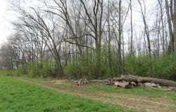5193 Textile Road, Ypsilanti, MI 48197