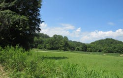 504 Nantz Road, London, KY 40741
