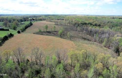 305 Smith Road, Luray, TN 38352
