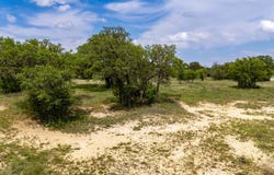 3800 Loop 534, Kerrville, TX 78028