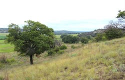 22393 County Road 489, May, TX 76857