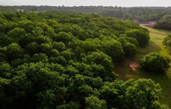 1241 Winn Road, Bowie, TX 76230