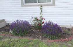 1900 W 45th St S, Wichita, KS 67217