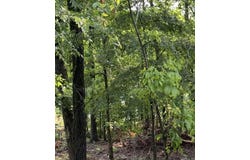 Lot 9 Island View Drive, Greers Ferry, AR 72067