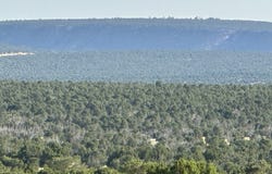 County Road B528A, Bernal, NM 87701