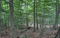 Turnpike Road, Columbus, NY 13460