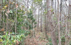5th Street, Hamlet, NC 28345