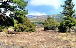 Little Bear Circle Lot 41, South Fork, CO 81154