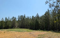 1894 County Rd. 4, Thomasville, AL 36784