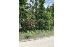 NE 173rd Ave, Old Town, FL 32628