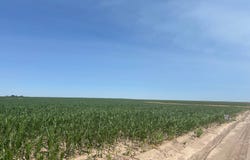 Road 6 & 56, Kanorado, KS 67741