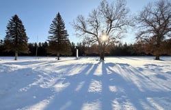 W2480 Hwy 63, Springbrook, WI 54875