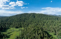 Tbd 115AC LITTLE CREEK Road, Killgore, ID 83423