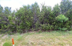 Pr 1032 Tx-P7, Meridian, TX 76665