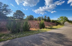9 TIGUA Drive, Sandia Park, NM 87047
