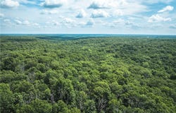Tbd Geronimo Springs Road-Tract 2, Macks Creek, MO 65786