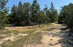 503 Old McHaus Road(Private) Road, Other, GA 31554