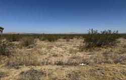 17700 E Avenue T8, Llano, CA 93591