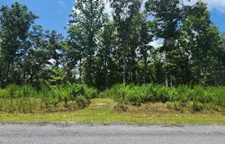 Lt 106 Split Creek Road, Morganton, GA 30560