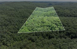 Big Bear Canyon Trail lot: 0, Chester, AR 72934