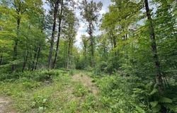 33 Acres Off Bates Amasa, Crystal Falls, MI 49920