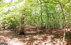 LAUREL Drive, ACCOKEEK, MD 20607