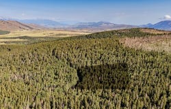 Zipf Ln lot: 3231, Fort Garland, CO 81133
