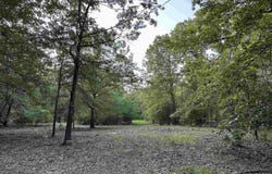 650 County Road 3643, Dike, TX 75437