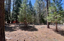 38 Tolowa Trail, Graeagle, CA 96103