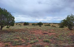 40 County Road 5309, Concho, AZ 85924