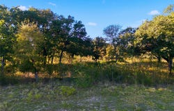 Fm-147, Marlin, TX 76661