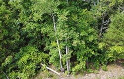 632 Private Road 421-35, West Plains, MO 65775