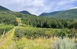 23398 Mt Highway 35, Bigfork, MT 59911