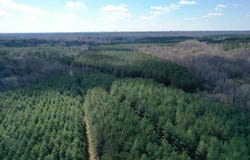 MOORE Rd, Red Banks, MS 38635