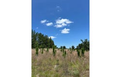 006 Douglas Mill Road, Chesterfield, SC 29709