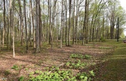 605 Canotage Court, Cedar Grove, NC 27231