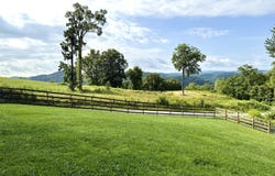 793 Jones Road Rd, Sneedville, TN 37869