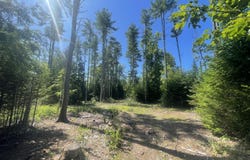 9 Forest Drive, Arundel, ME 04046
