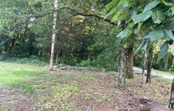 148 Wolf Hollow Rd., Bald Knob, AR 72010-0000