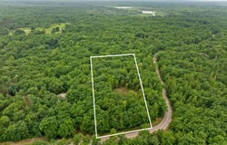 0 V/L Albrecht Road, Interlochen, MI 49643