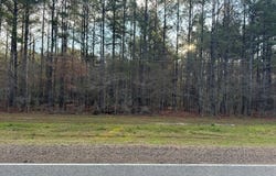 TBD Hwy 124, Jonesville, LA 71343