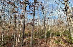 LOT 165 OAKMONT DRIVE, GORDONSVILLE, VA 22942
