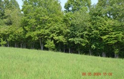 Hawk's View Lane, Napier, WV 26631